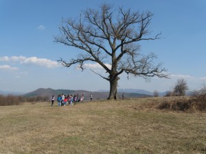 IMG_2293